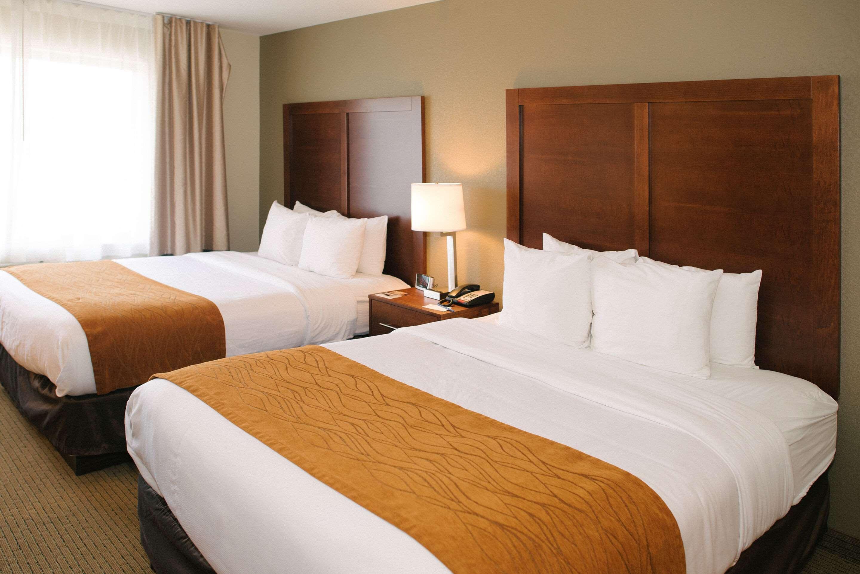 Comfort Inn & Suites Къстър Екстериор снимка