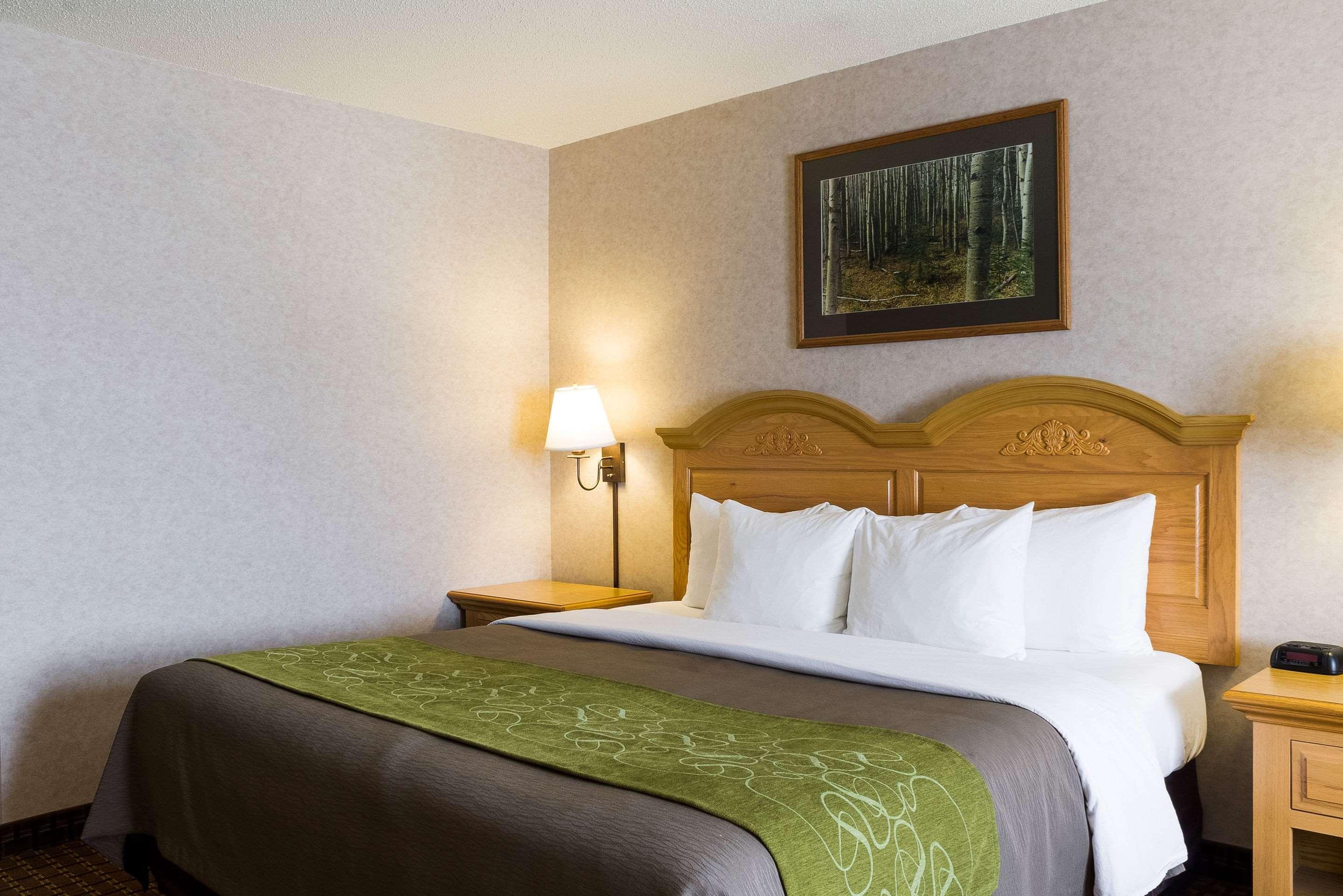 Comfort Inn & Suites Къстър Екстериор снимка