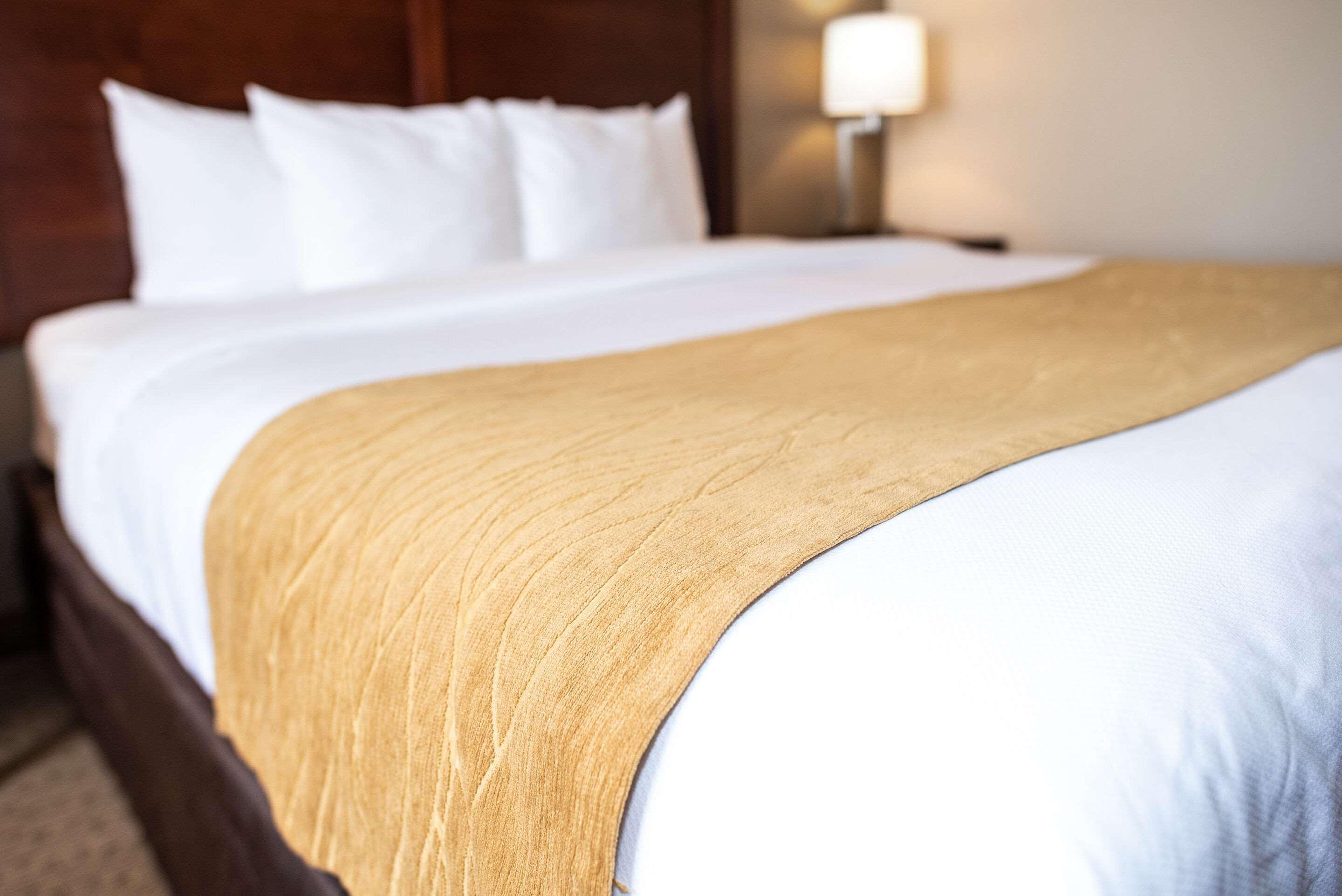 Comfort Inn & Suites Къстър Екстериор снимка